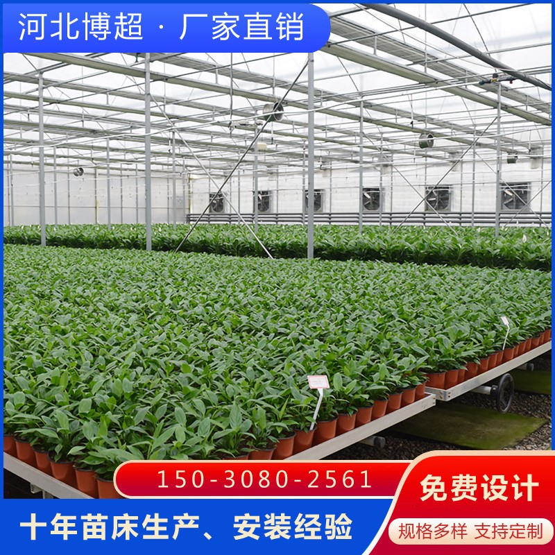 �Ƅ�(d��ng)�紲