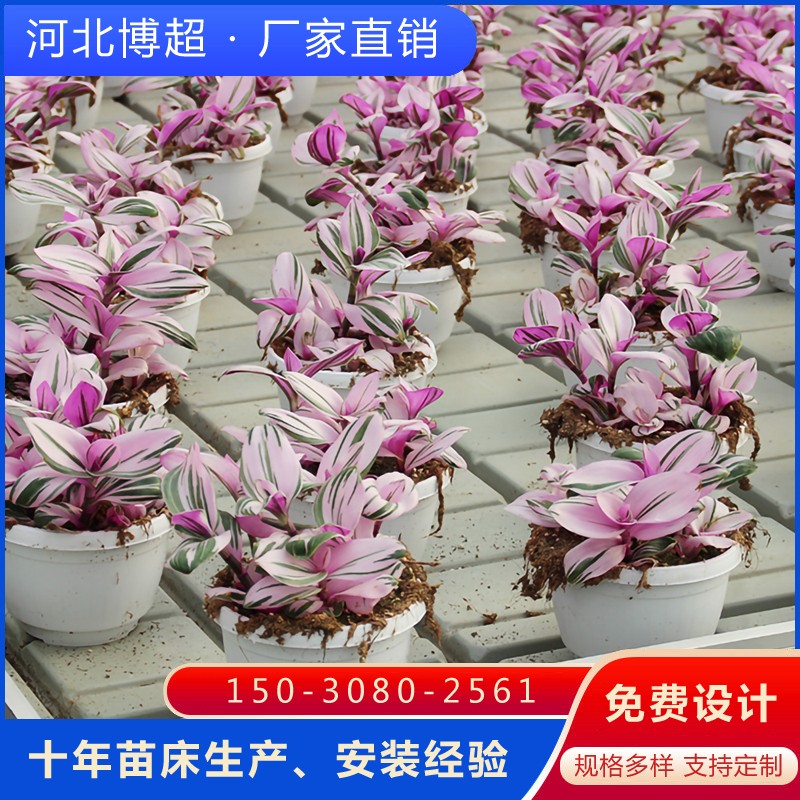 ��ϫʽ�Ƅ�(d��ng)�紲