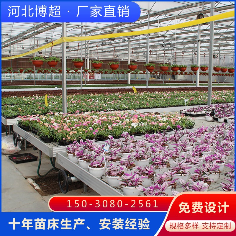 �B(y��ng)���紲