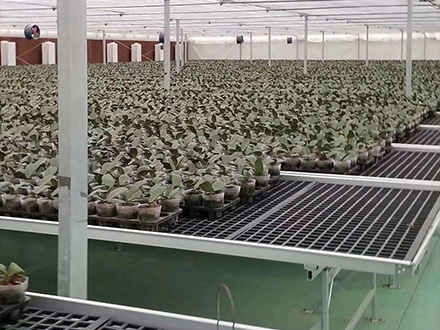 ���ϾW(w��ng)Ƭ�Ƅ��紲