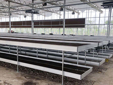 �p�ӟ���\�W(w��ng)Ƭ�Ƅ��紲