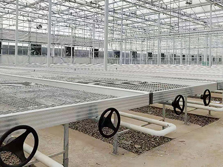 䓰�W(w��ng)Ƭ�Ƅ��紲