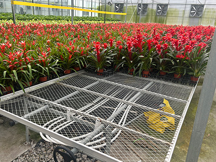 ����\�W(w��ng)Ƭ�Ƅ��紲