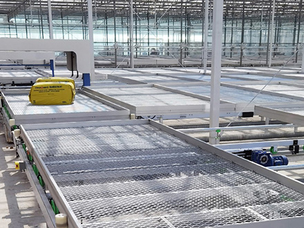 䓰�W(w��ng)Ƭ�����紲